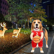Pet Costumes Dog Basketball Player Costume Halloween .