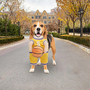 Pet Costumes Dog Basketball Player Costume Halloween .