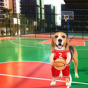 Pet Costumes Dog Basketball Player Costume Halloween .