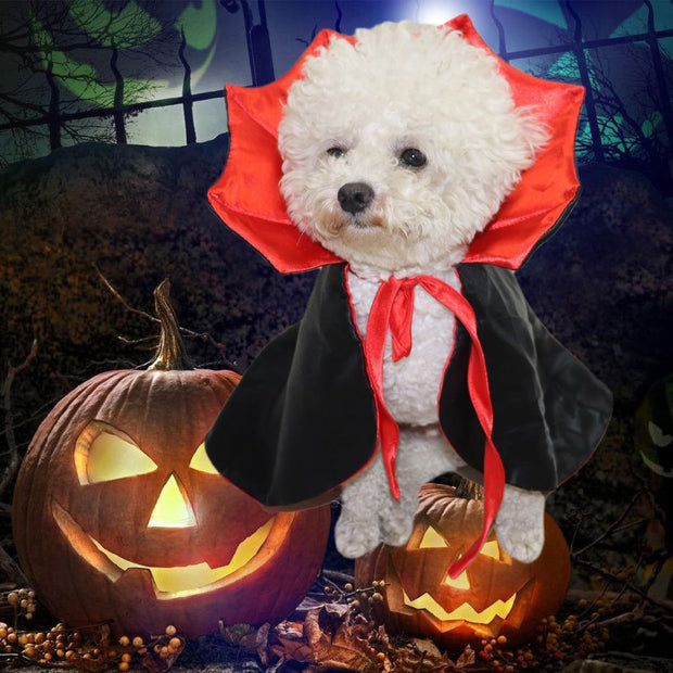 Cute Halloween Pet Costumes Cosplay Vampire
