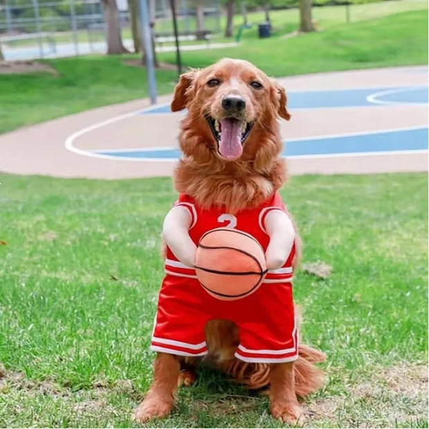 Pet Costumes Dog Basketball Player Costume Halloween .