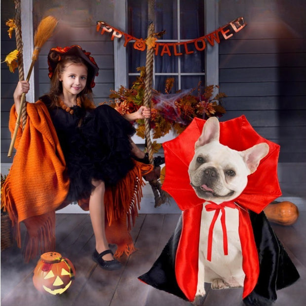Cute Halloween Pet Costumes Cosplay Vampire