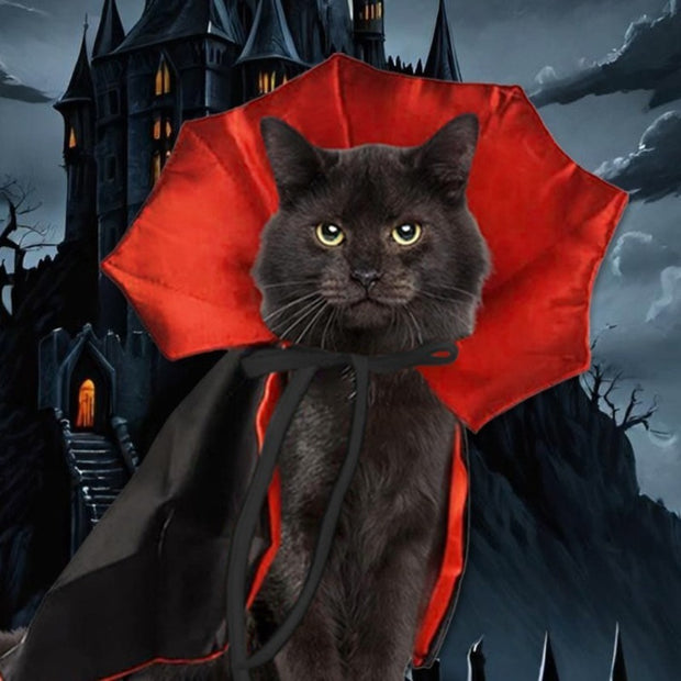 Cute Halloween Pet Costumes Cosplay Vampire