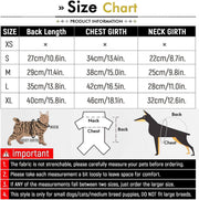 Halloween Dog Costumes For Small Dog Glow