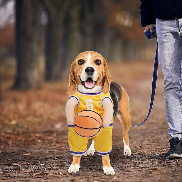 Pet Costumes Dog Basketball Player Costume Halloween .