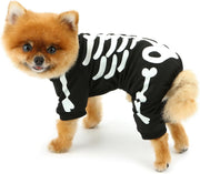 Halloween Dog Costumes For Small Dog Glow