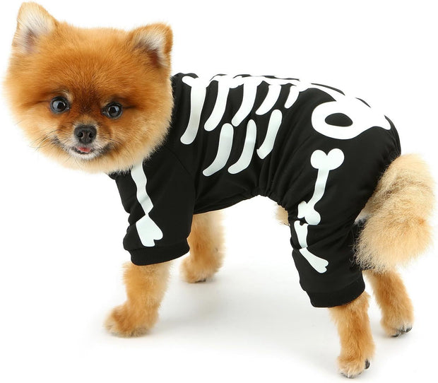 Halloween Dog Costumes For Small Dog Glow