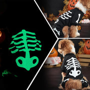 Halloween Dog Costumes For Small Dog Glow