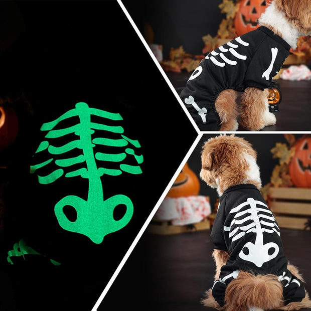 Halloween Dog Costumes For Small Dog Glow