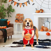 Pet Costumes Dog Basketball Player Costume Halloween .