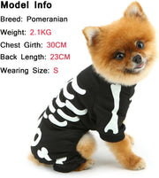 Halloween Dog Costumes For Small Dog Glow
