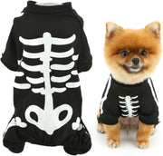 Halloween Dog Costumes For Small Dog Glow