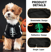 Halloween Dog Costumes For Small Dog Glow